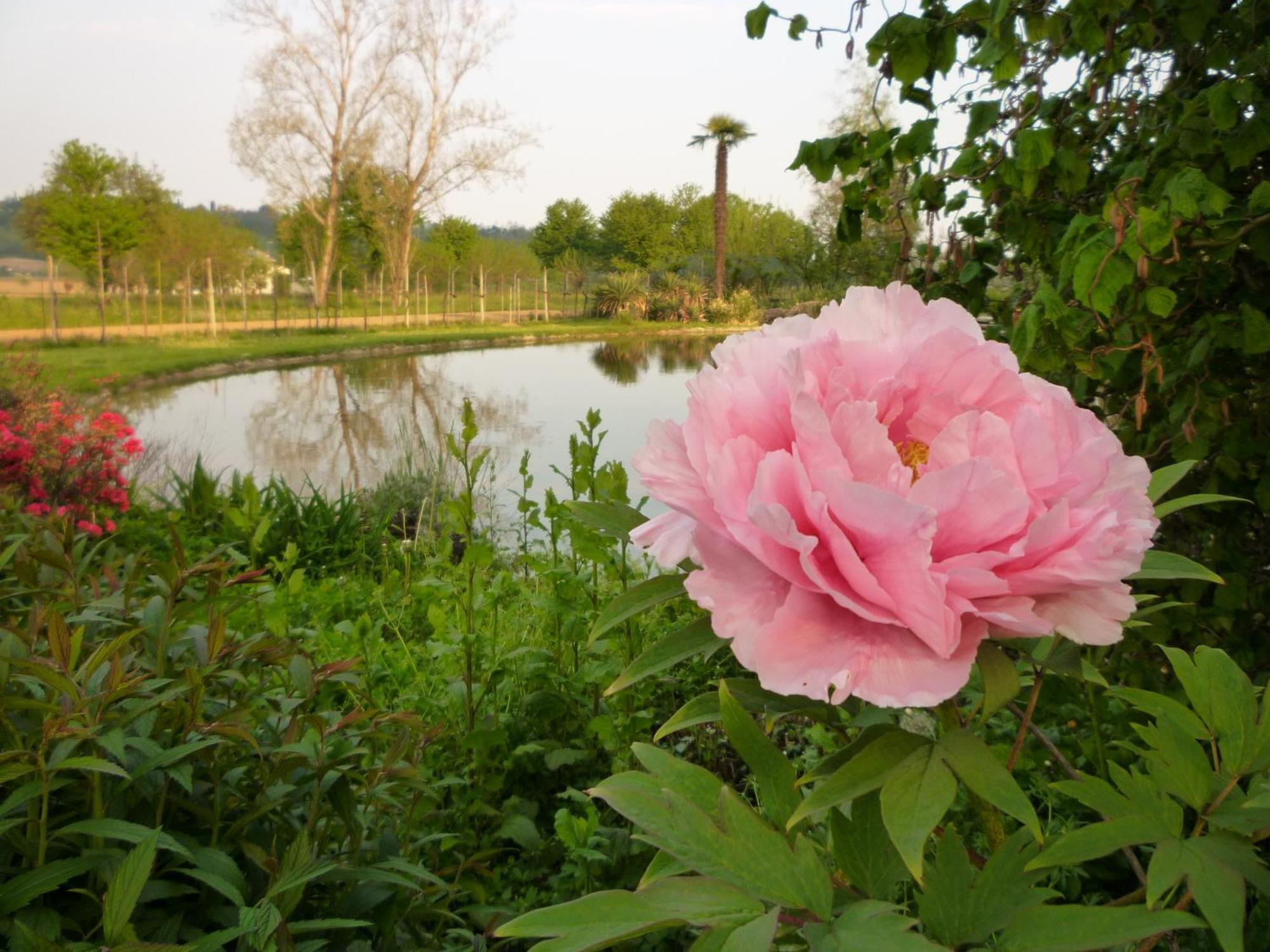 Country House Barone D'Asolo Exterior foto